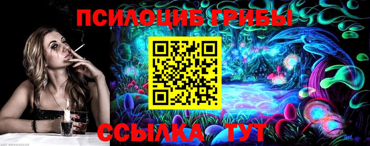 Галлюциногенные грибы Psilocybine cubensis Хасавюрт