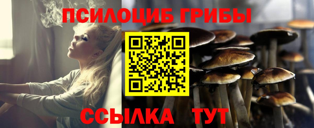 Псилоцибиновые грибы Psilocybine cubensis  Вход с VPN  Хасавюрт  Галлюциногенные грибы GOLDEN TEACHER 