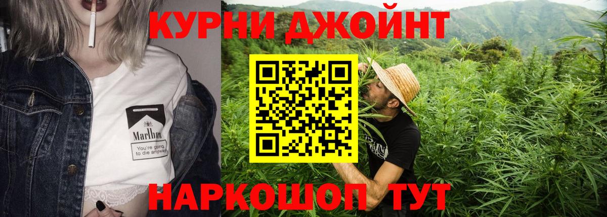 Бошки Шишки индика Хасавюрт